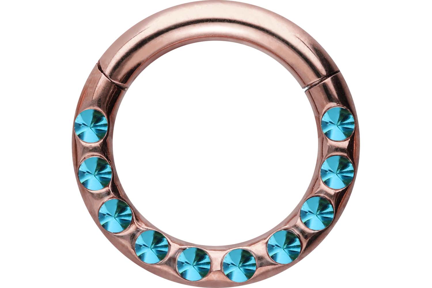 Chirurgenstahl Segmentring Clicker Piercing KRISTALLE + EPOXY ++SALE++